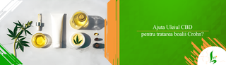 Ajuta Uleiul CBD pentru tratarea boalii Crohn?