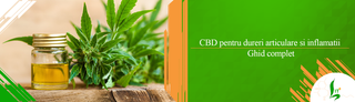 CBD pentru dureri articulare si inflamatii – ghid complet