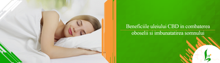 Descopera beneficiile uleiului CBD in combaterea oboselii si imbunatatirea somnului