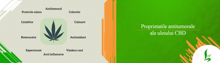 Proprietatile antitumorale ale uleiului CBD